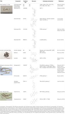 Mechanisms and Efficacy of Traditional Chinese Medicine in Heart Failure